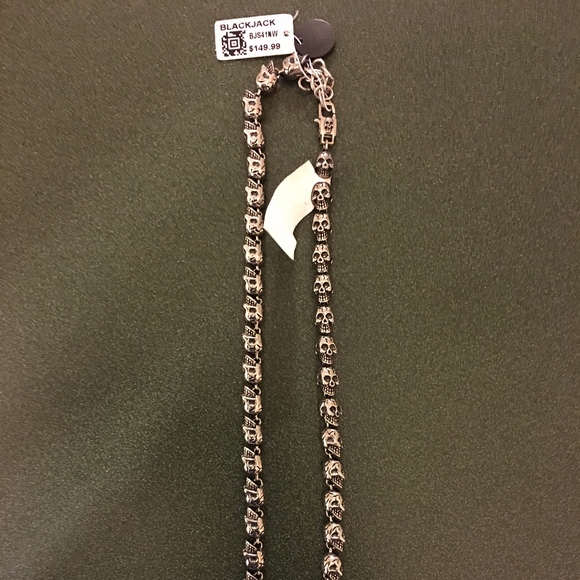 Blackjack Other - NIB Mens Stainless Steel Skull Chain Necklace
